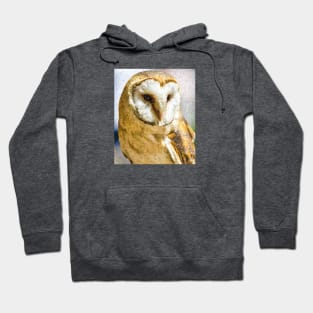 Barn Owl Hoodie